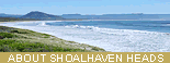 About Shoalhaven Heads