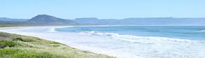Shoalhaven Heads